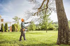 Best Hazardous Tree Removal  in Clay, CA