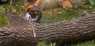 Best Artificial Turf Installation  in Clay, CA